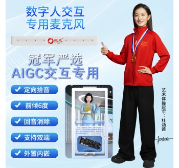 AIGC语音定向识别阵列麦-DM